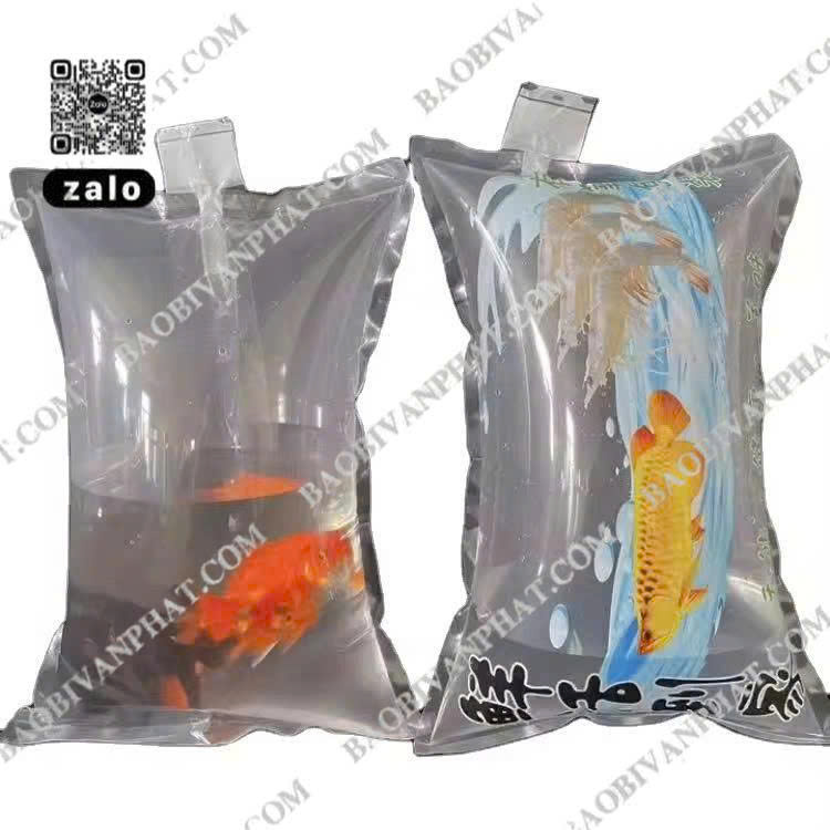 Mẫu túi nilon đựng cá giống mang lại hiệu quả cao