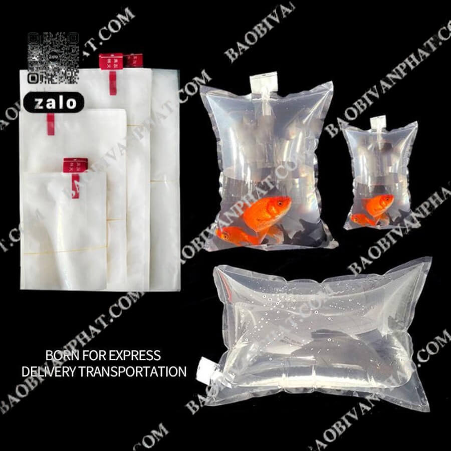 Các kích thước túi oxy đựng cá giống chuyên dụng vận chuyển