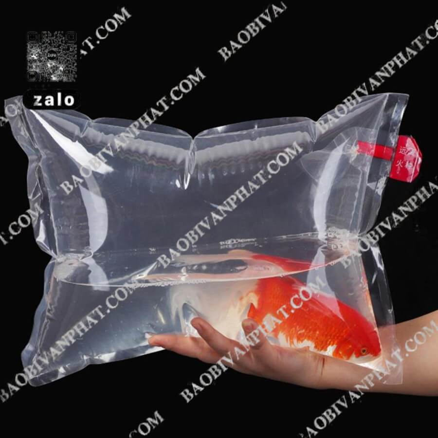 Túi oxy đựng cá cảnh cỡ lớn
