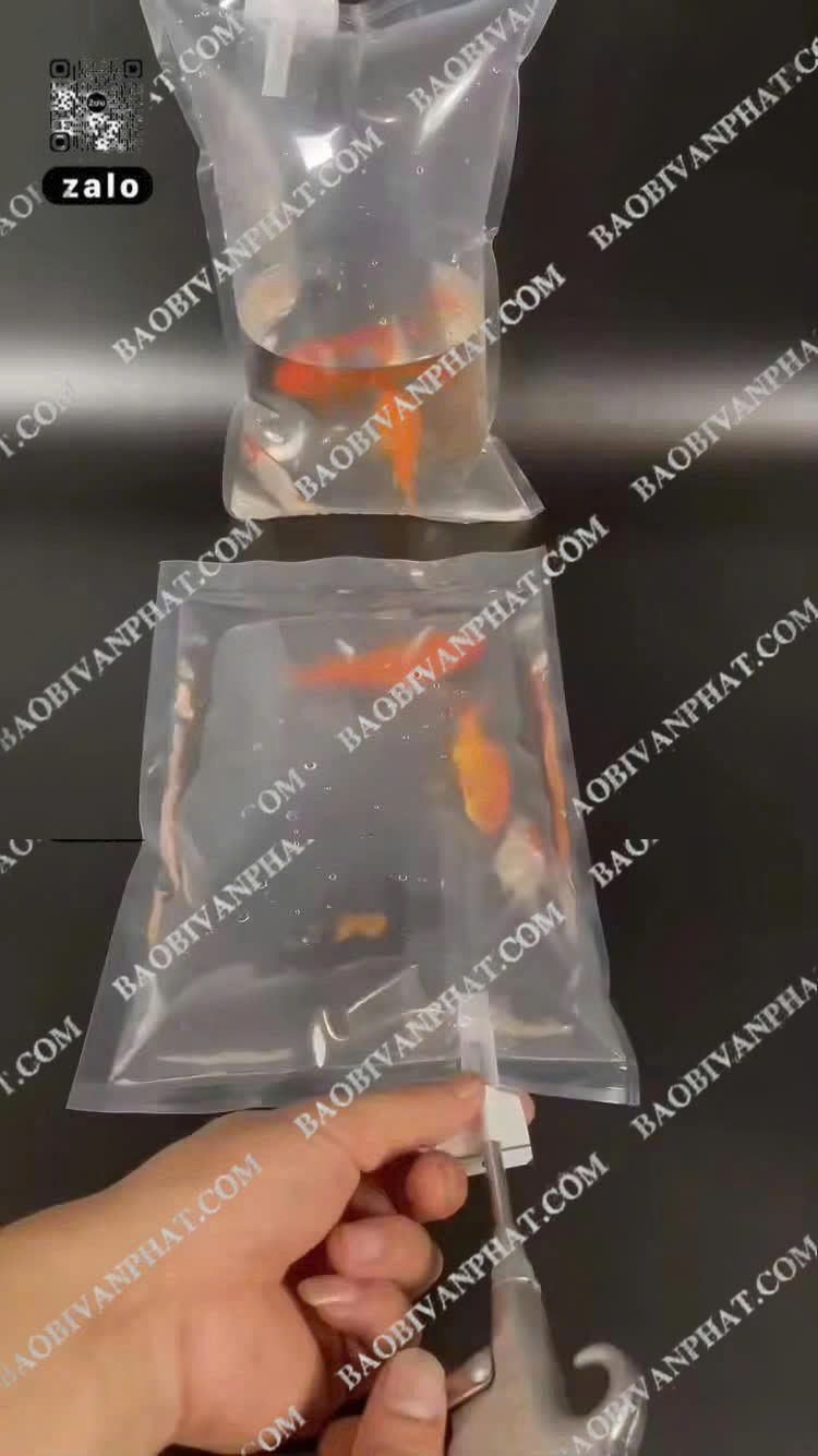 Túi đựng nước oxy