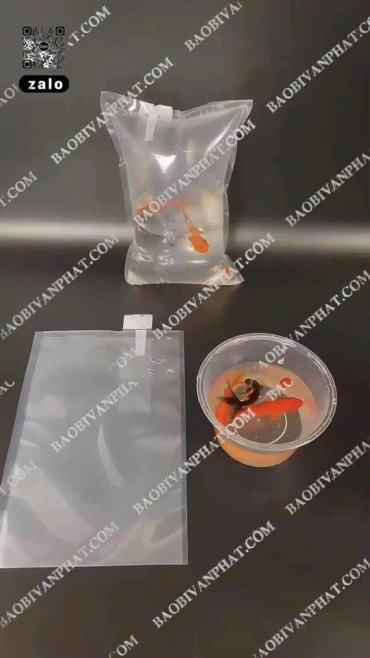 Túi oxy đựng cá giống